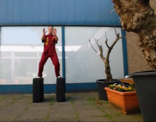 Khúc Tráng Ca Của Loài Chim Lửa (Thái Cực Liệt Hỏa Chưởng)