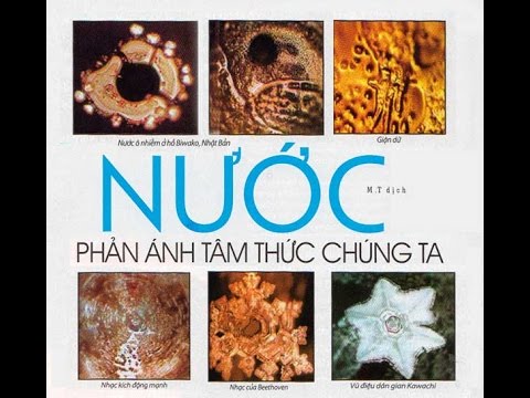 Thông điệp huyền diệu từ NƯỚC (Bài cực hay!!!!!)