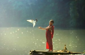 “Phiếm luận về bạch tuộc Paul” (Khảo luận Y Học)