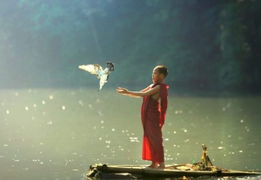 “Phiếm luận về bạch tuộc Paul” (Khảo luận Y Học)