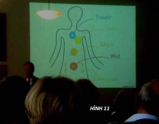 Chiết Một Nhánh Thất Tình