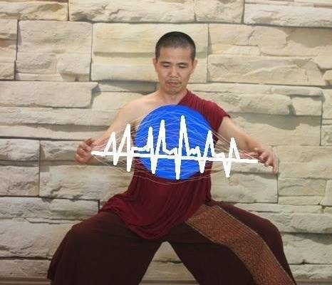 HỆ MIỄN DỊCH- SỨC ĐỀ KHÁNG- CHÍNH KHÍ- NỘI LỰC….(Phụ Lục Về Tinh- Khí- Thần Lược Giải)- Phần 1