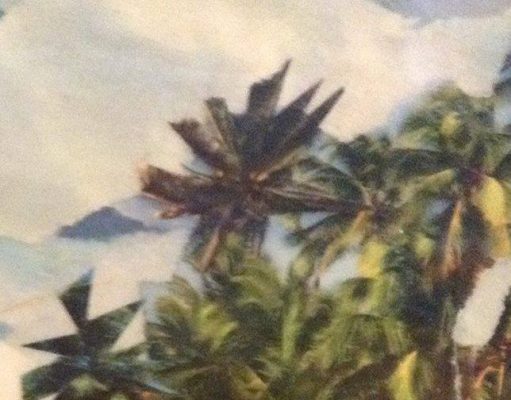 BÁN….”NUÔI PHÂY”…..(Ai mua tranh tôi bán trăng cho…hè…hè…..)