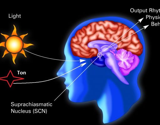 NỘI HỎA LINH ĐAN (Phụ Lục của Huyền Nhiệt Tốc Đạt)