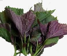 LẠI LÀ „NGÔN TÌNH“ (Chuyện Đời)