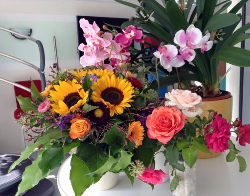 Mồng năm, mười bốn, hăm ba….