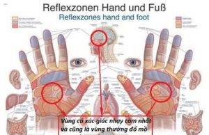 Lý giải về “Siêu Mẹo Vặt Của Việc Luyện Khí- Bác sĩ Tự thân”