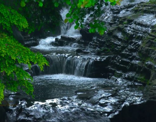 Nhạc sư- Nghệ sĩ Hải Phượng chơi đànTranh và Bầu