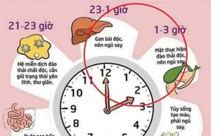 Khôi Phục Lập Trình: “GIẤC NGỦ GAN- MẬT”.