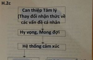 Các bản dịch Sơ đồ “Biện Lý Ung Thư” của Ngành Ung thư học Hiện đại