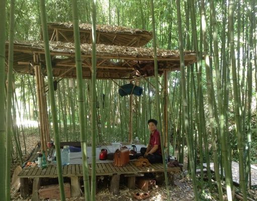 Nói về vụ “trầm cảm” khi đụng đến tre, trúc làm tiêu…hê..hê…có lâu rồi…