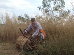 THÁI CỰC CHÂN KINH