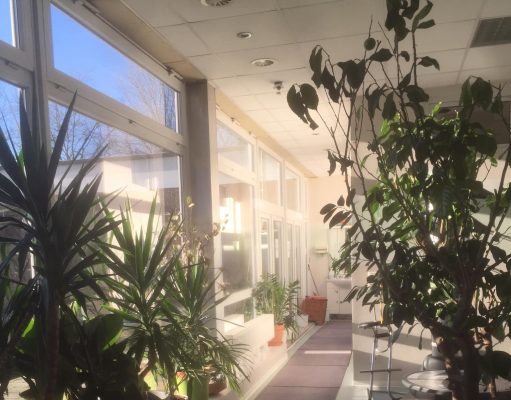 Thời tiết thích hợp cho virus cảm cúm phát triển