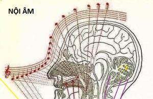 NGHE ÂM THANH TRỊ LIỆU Ở ĐÂU?