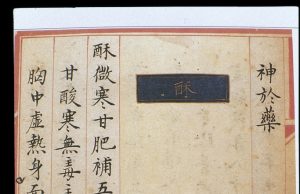 “VÔ MÔN TỰ HỮU MÔN” (Tư Liệu Y Khoa)