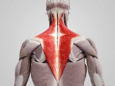 “VŨ ĐIỆU TRƯỜNG SINH” BÀI TẬP CHĂM SÓC THÂN TÂM TOÀN DIỆN