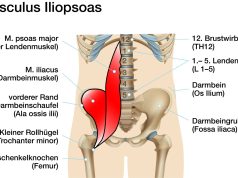ĐẠI KHÁI „NHẢY TRỊ LIỆU“ LÀ VẬY…(Tư liệu Dưỡng Sinh)
