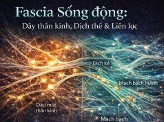 TẠI SAO NHẢY (Tư liệu dưỡng sinh)