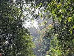 “THẬP NIÊN SƯ ĐỒ TRUYỆN” (Tư Liệu)- Phần 1