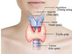 LỤC TỰ MẠN ĐÀM- Tư Liệu Dưỡng Sinh (Phần 2)