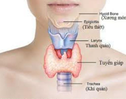 LỤC TỰ MẠN ĐÀM- Tư Liệu Dưỡng Sinh (Phần 2)