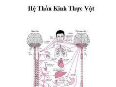 LIỆU PHÁP TỔNG THỂ- Tư liệu Y khoa (Phần1)