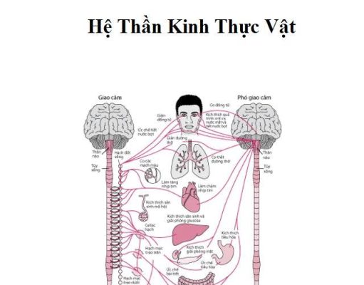 LIỆU PHÁP TỔNG THỂ- Tư liệu Y khoa (Phần1)